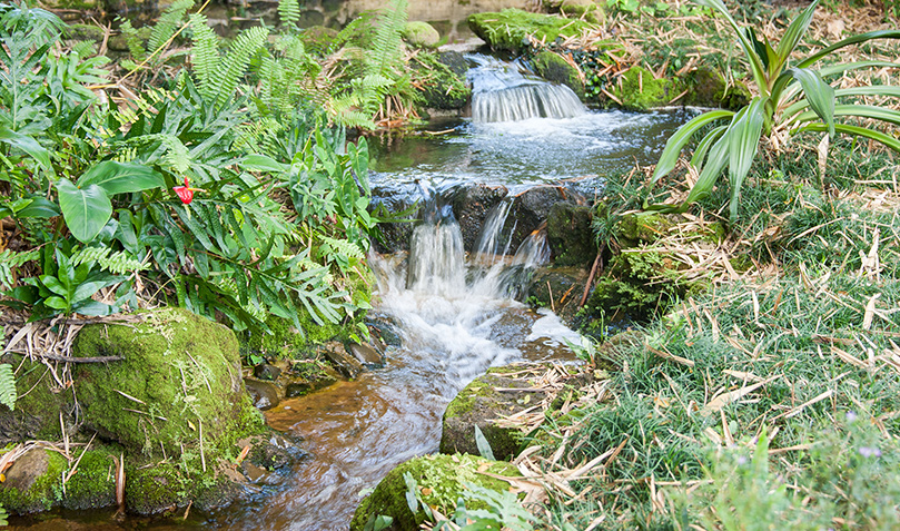 Narmada Stream Returns
