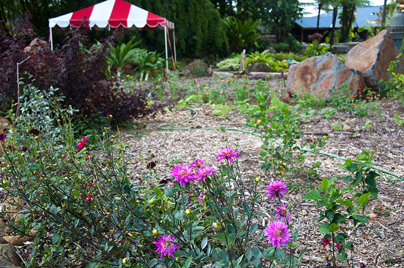 Kaduval's Growing Garden