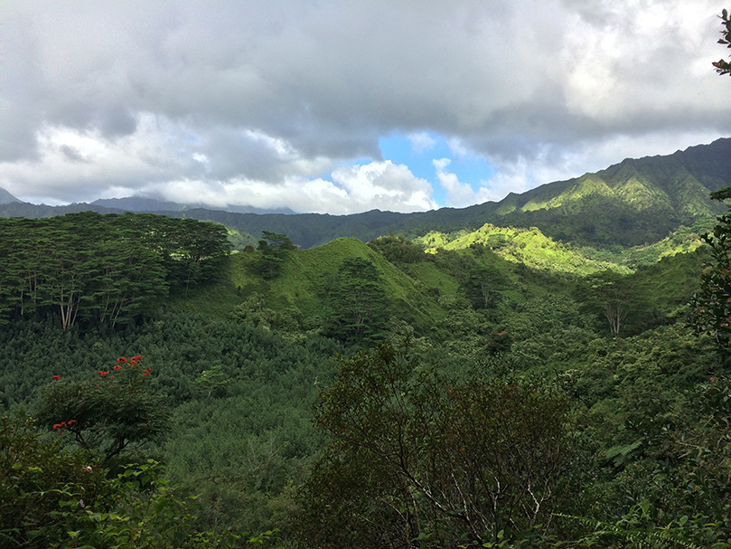 A Hike up the Kuilau Trail
