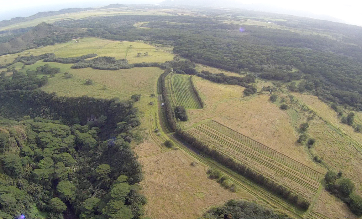 Mountain Top Consciousness Views