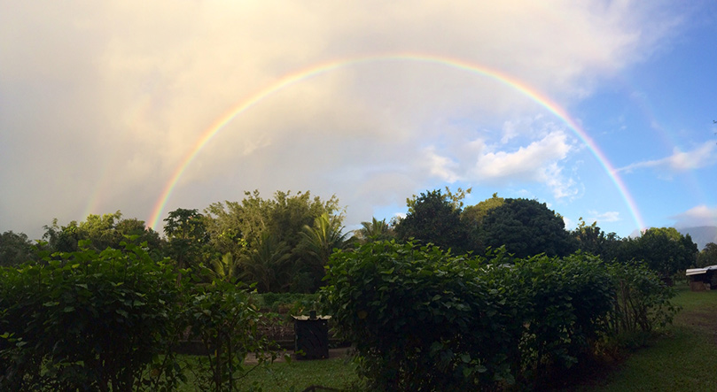 Thai Pongal Rainbows