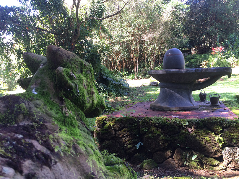 Today in Siva's Sacred Garden