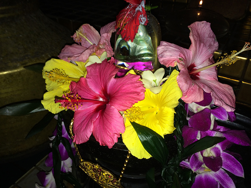 Preparing for Siva's Great Night