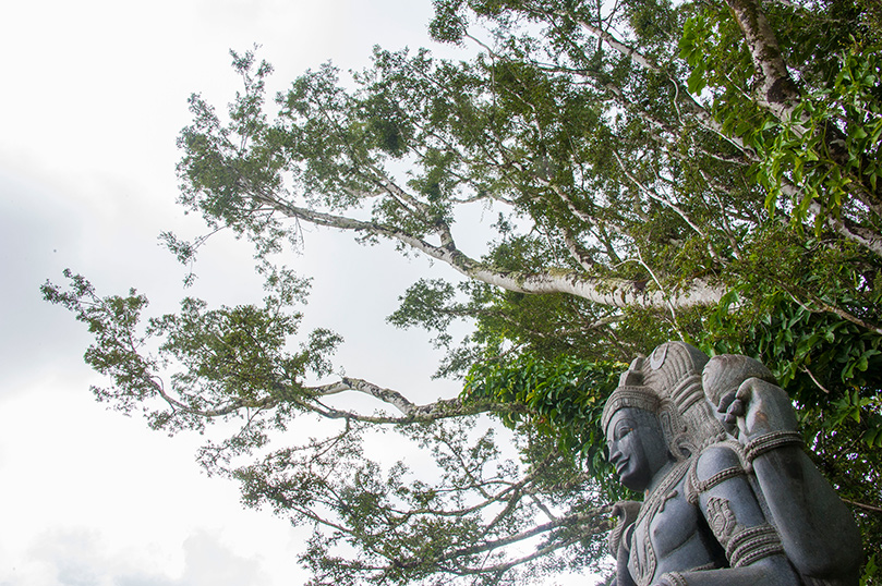 Observing Sadhu Paksha