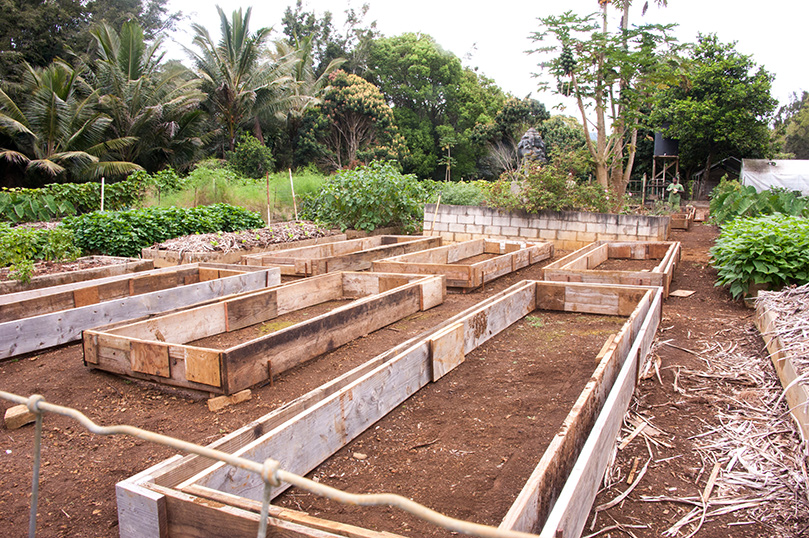 Creating New Garden Beds