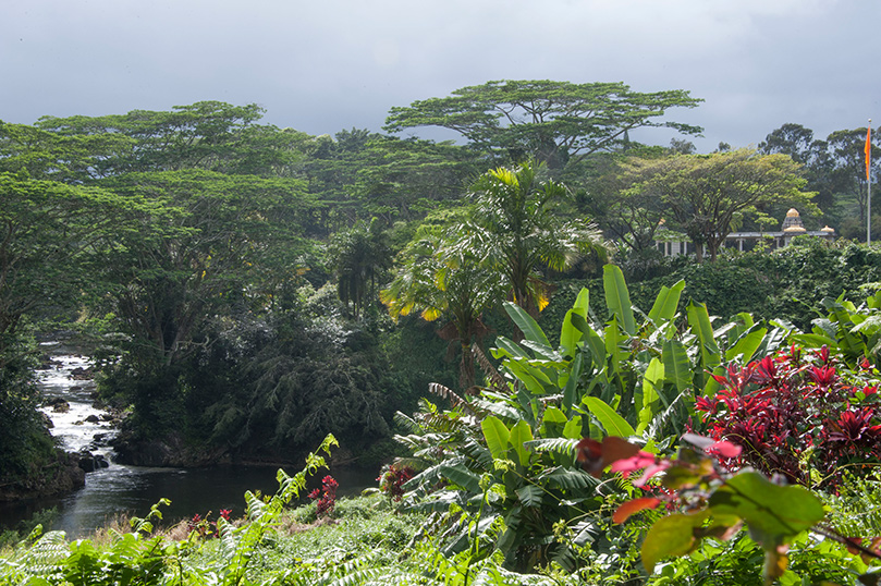 Our Picture-Perfect Pali