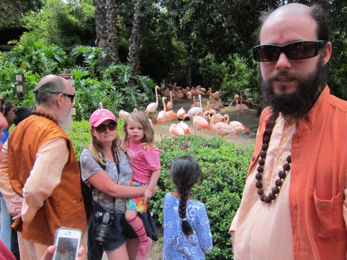 An Outing with Bodhinatha and the Swamis at the LA Zoo
