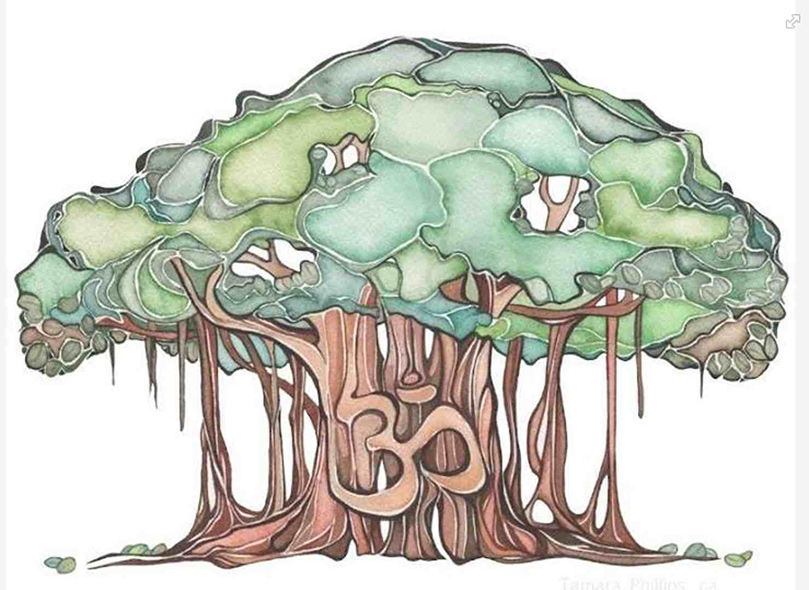 The Great Banyan Tree