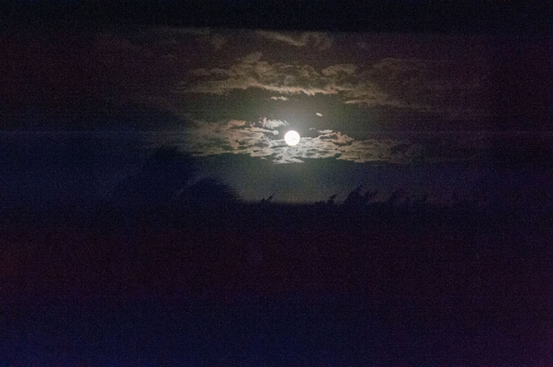 Guru Purnima Celebrations During Mauritius Innersearch