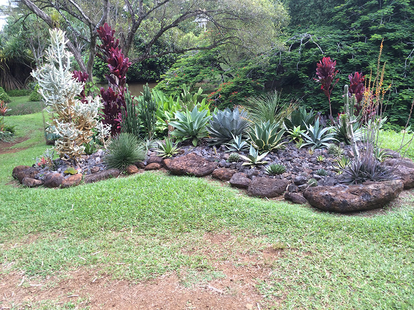 Rishi Valley Rock Garden