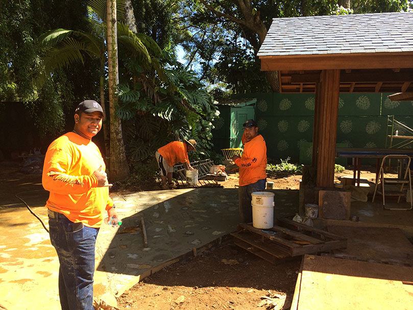 Media Studio Landscaping