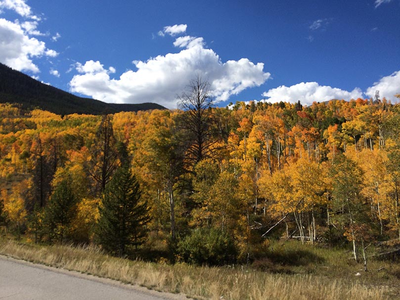 Yosemite National Park