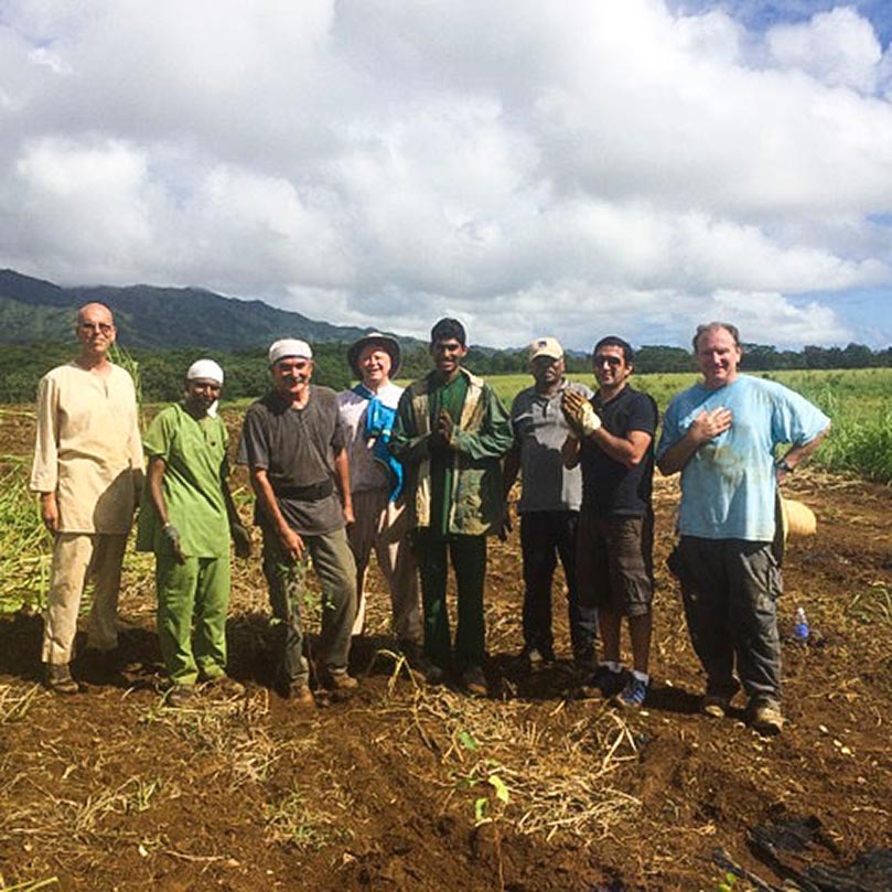 Continued Windbreak Planting