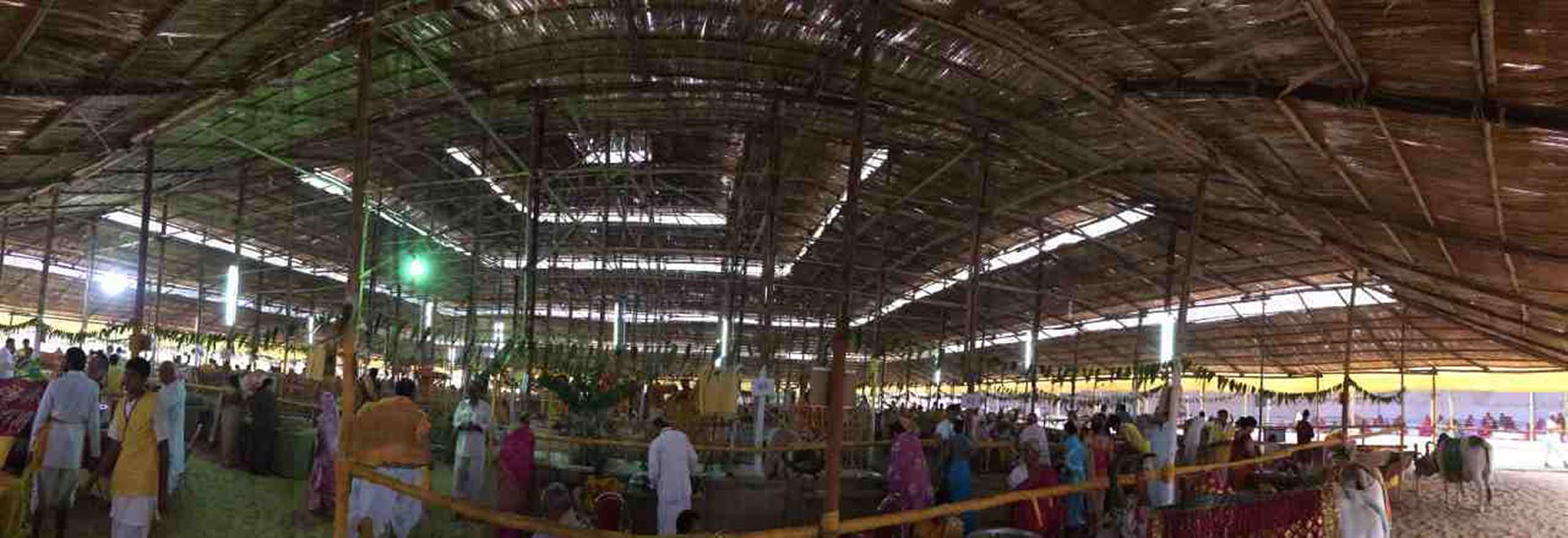 Around the Cow Ashram