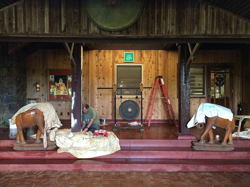 Repairing Redwood in the Courtyard