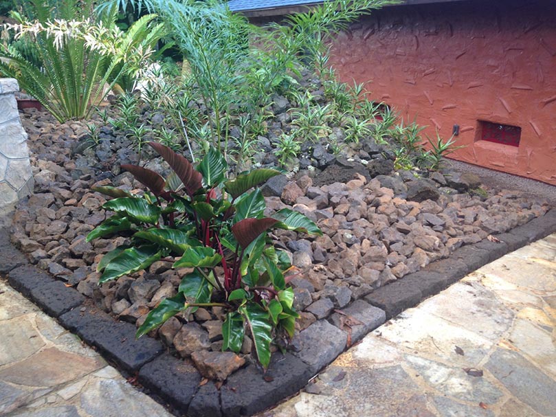 Media Studio Landscaping