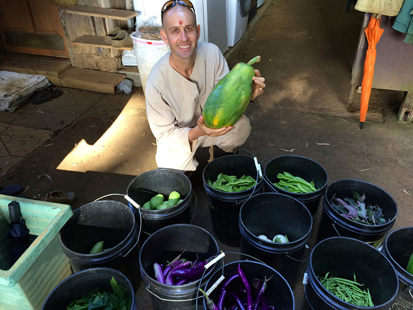 Abundance In Our Gardens