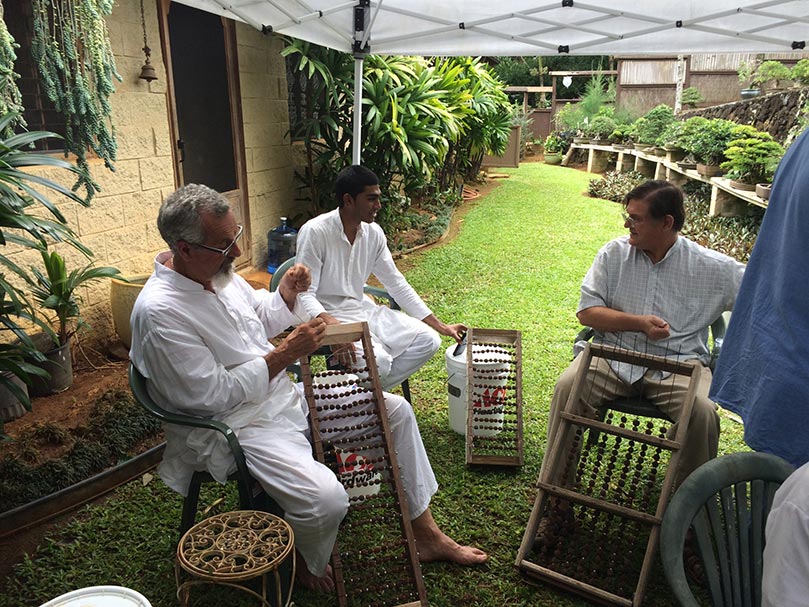 Stringing Rudrakshas