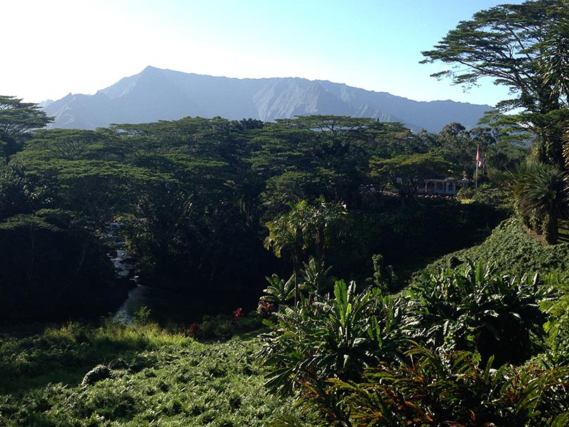 Photos from Recent Pilgrims