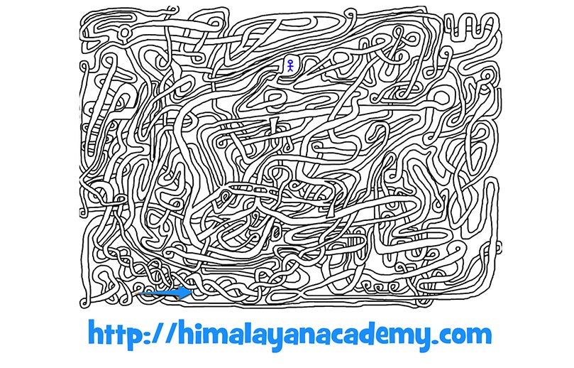 Our Site's New Search Engine