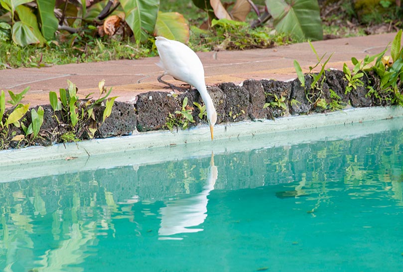 Something to Reflect On