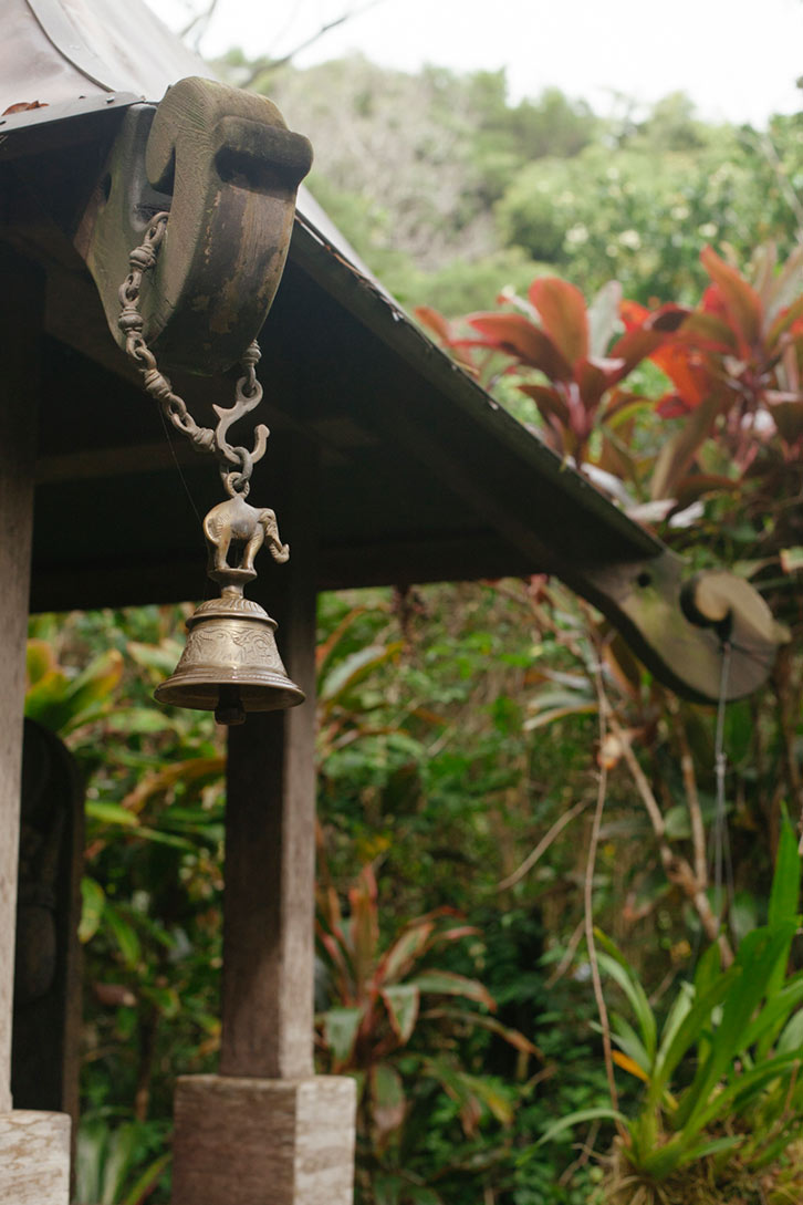 Through Molly's Lens