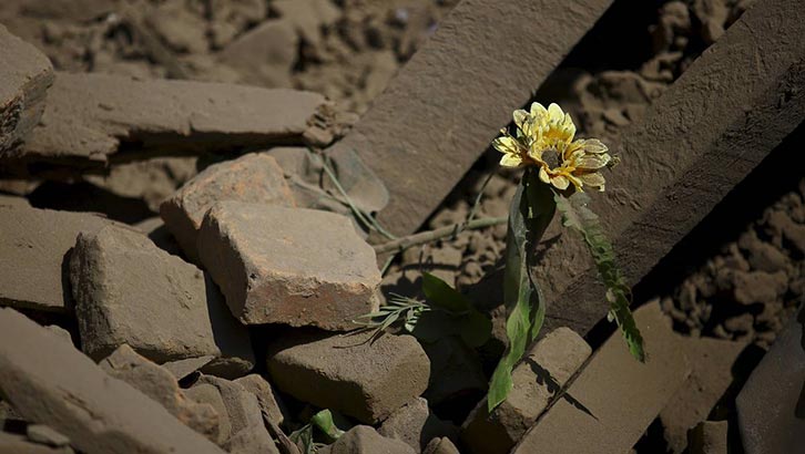 Nepal's Earthquake: Satguru's Perspective of Disasters