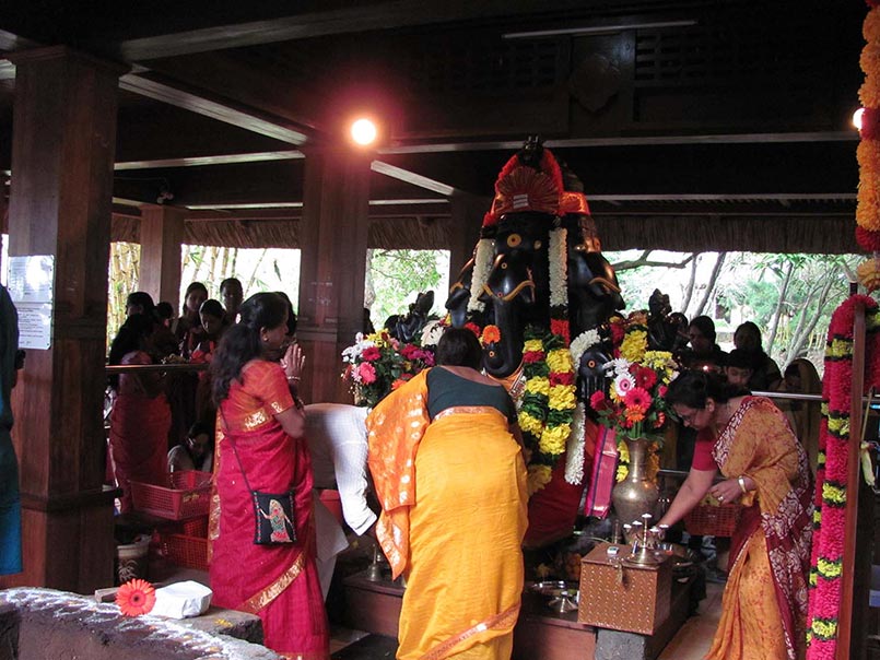 May Ganesha Homa in Mauritius