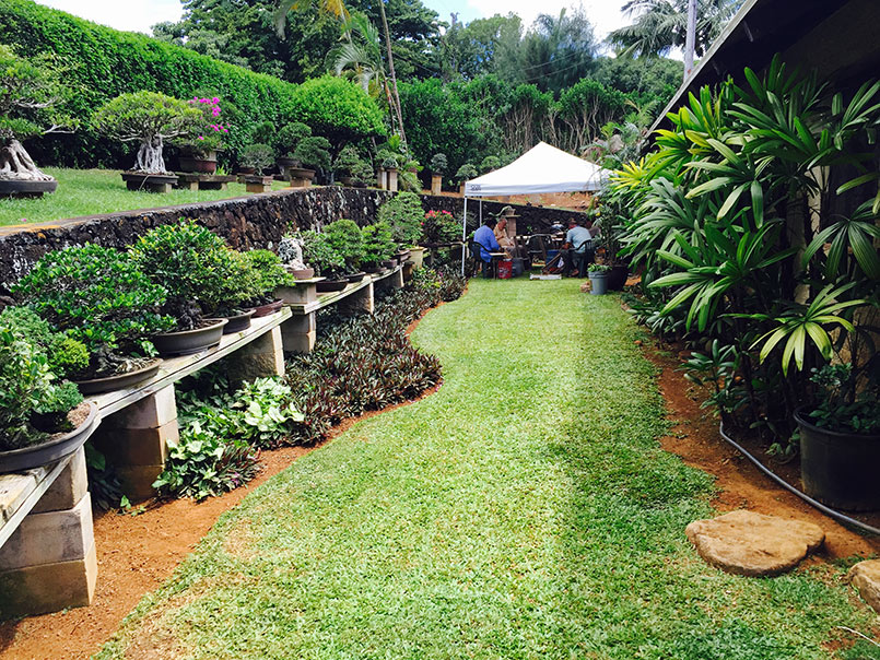 Iraivan Day for the Wailua Mission