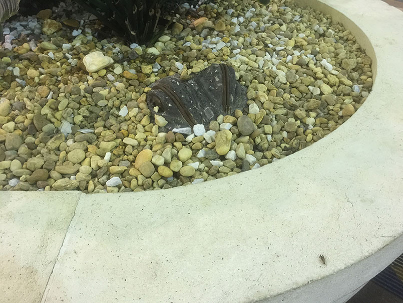 More Photos from the Road