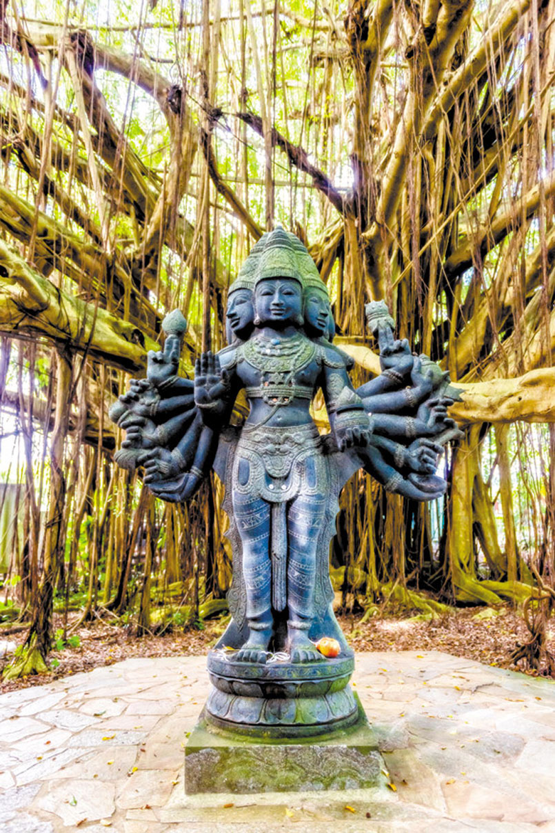 National Geographic's Daily Dozen