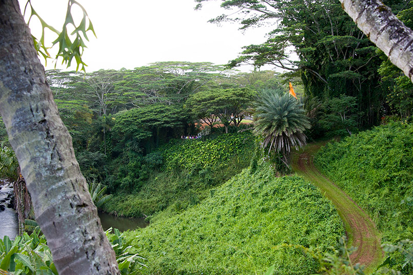 Hula Group Blesses Our Sacred Space