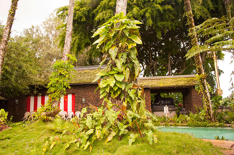 An Afternoon at Kauai Aadheenam