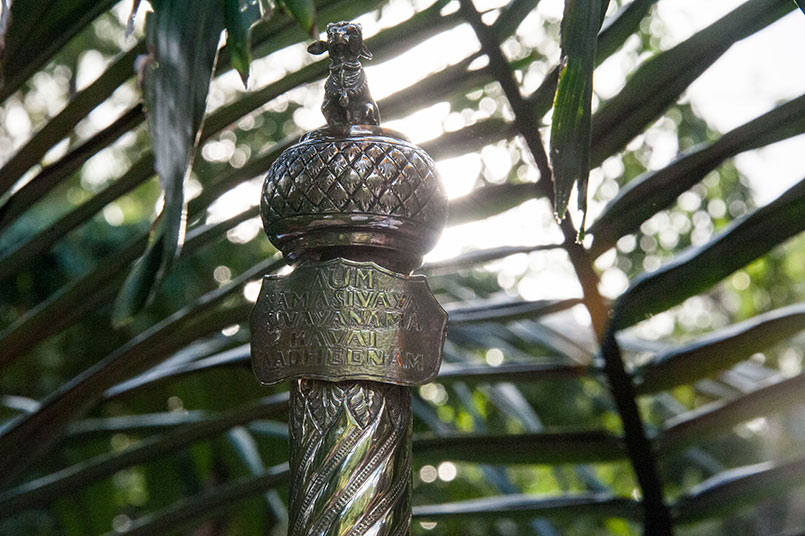 Mahasamadhi Celebrations - Day 3