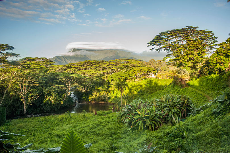 Sadhu Paksha Begins!