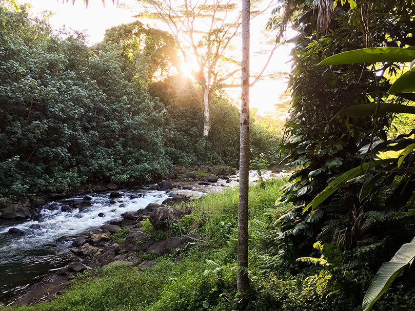 The River, a Symbol of Life