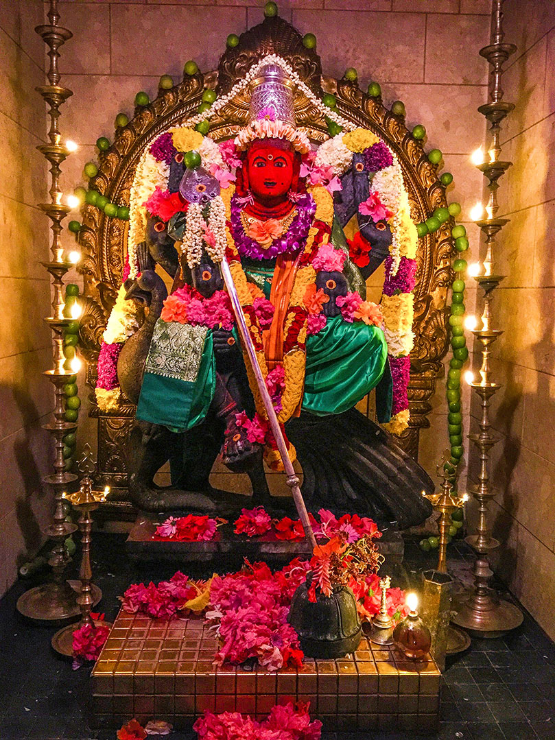 Celebrating Thai Pusam