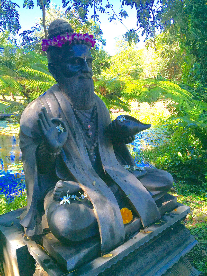 The Tale of Two Pujas