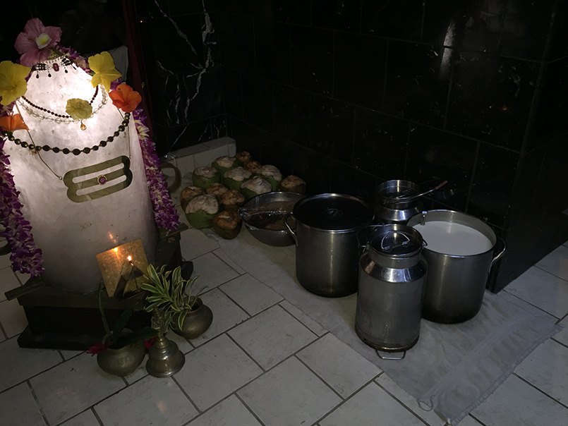 Invoking the Lord of Spiritual Aspiration Murugan's Vaikasi Puja