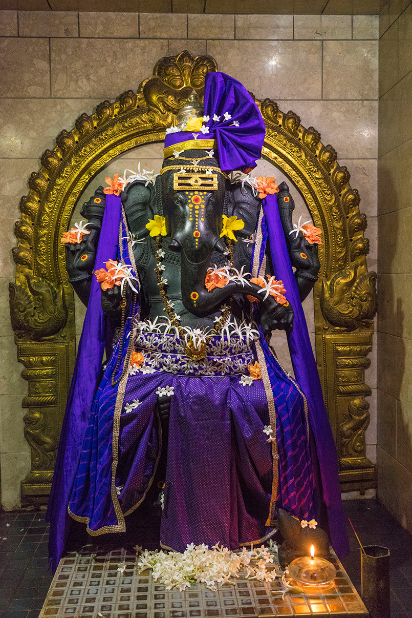 Ganesha's Royal Purple Regalia