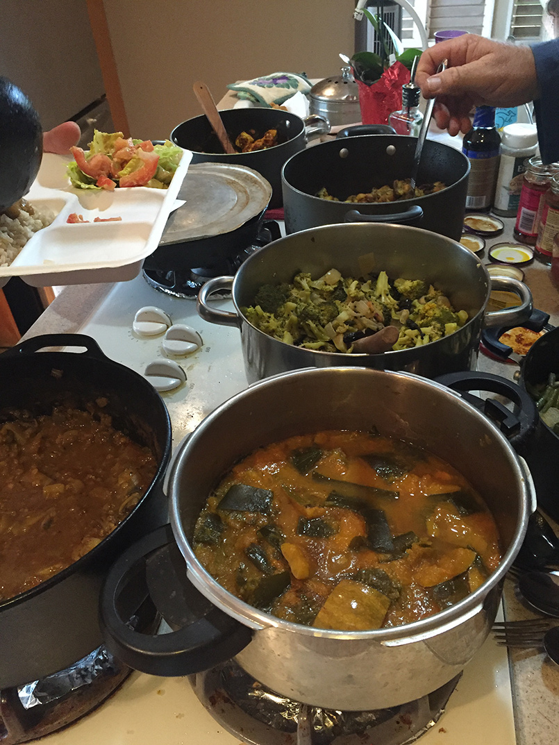 Wailua Mission Iraivan Day and Monastery Tour Day