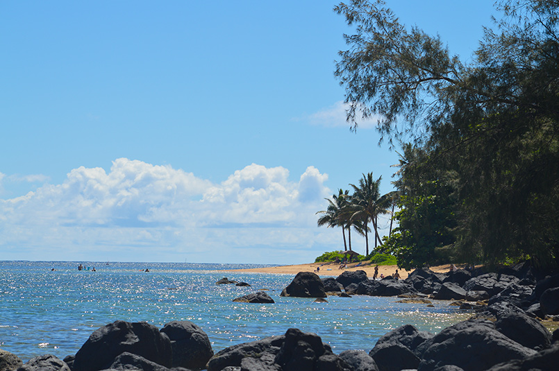 A Picture Perfect Outing