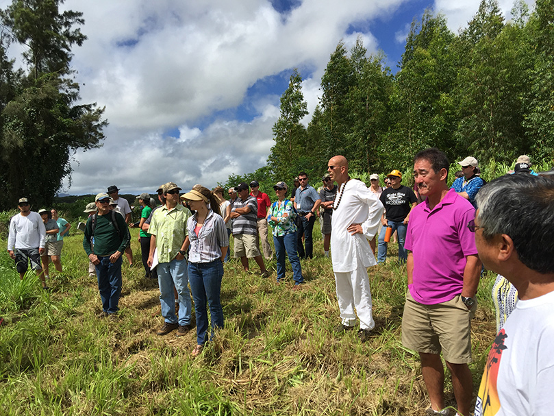 Hawaiian Conservation District Visit