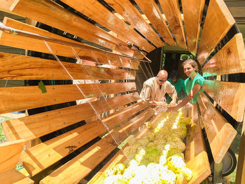 Our New Noni Washer in Action