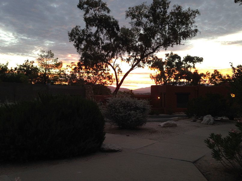 Final Day in Arizona