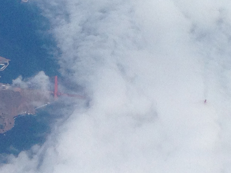 The Green Gardens of Portland