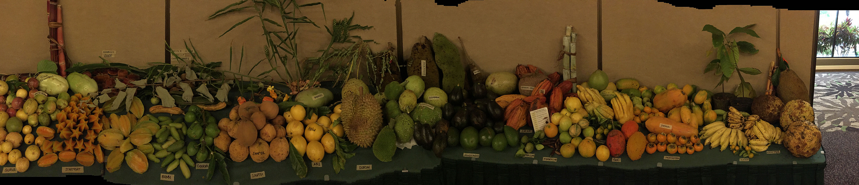 Tropical Fruit Growers Conference