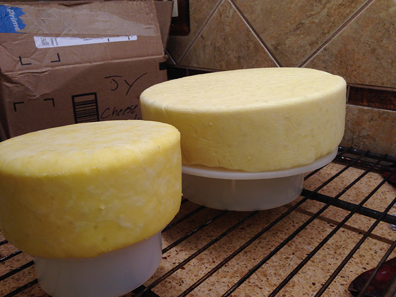 Monk Made Cheese
