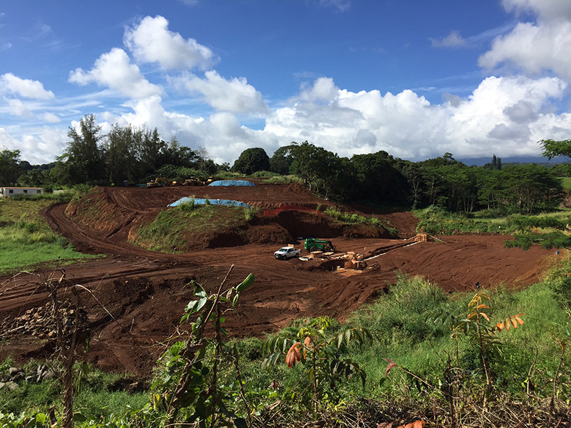 Hawaii State Senator Gabbard Visit Kauai Aadheenam
