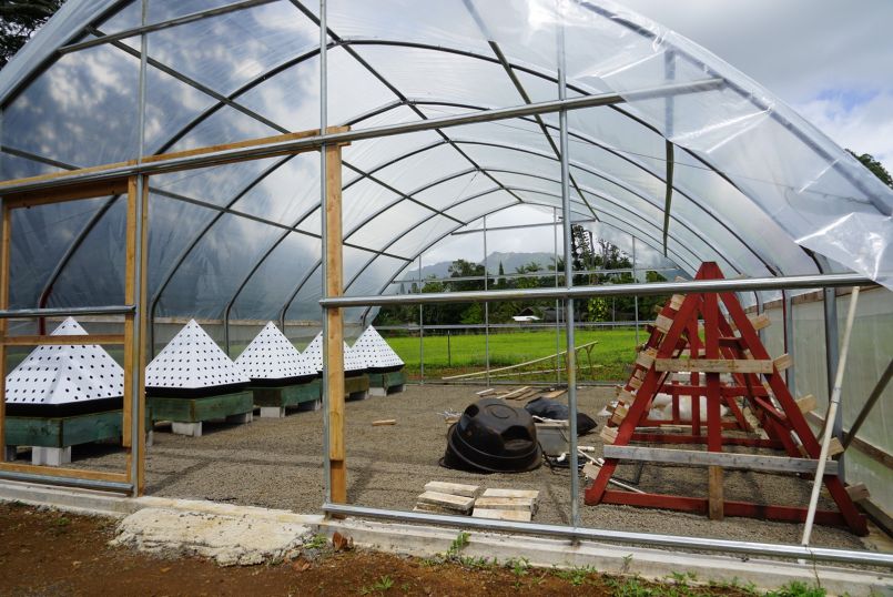 Retreat Day Walkabout